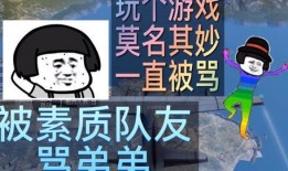 和平精英骂人爆料视频下载,网络暴力现象引关注